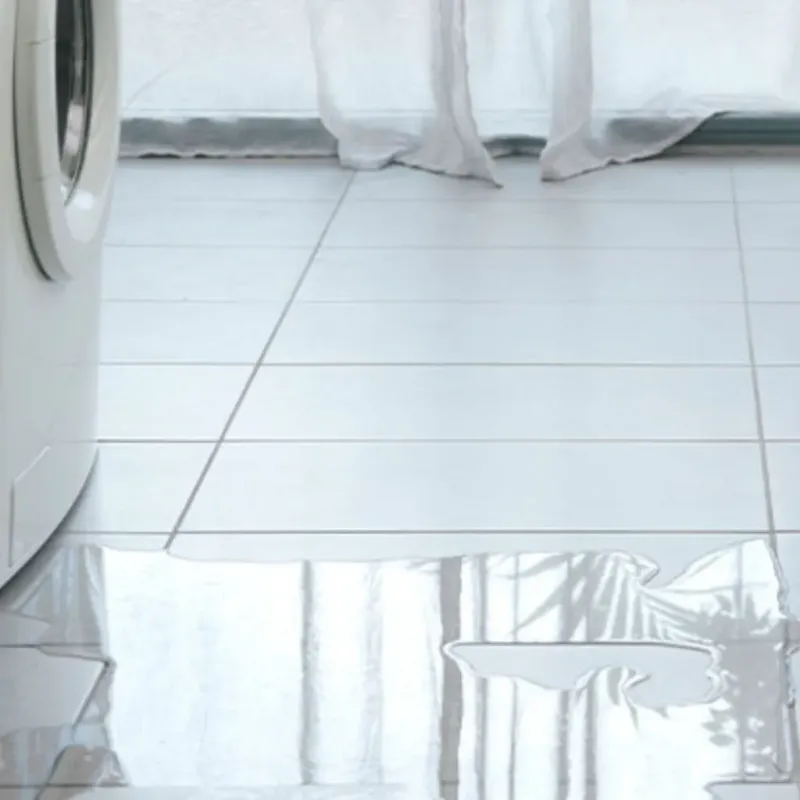 Appliance Leak Cleanup in Anthony, KS