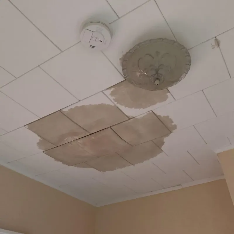 Ceiling Water Damage Repair in Anthony, KS
