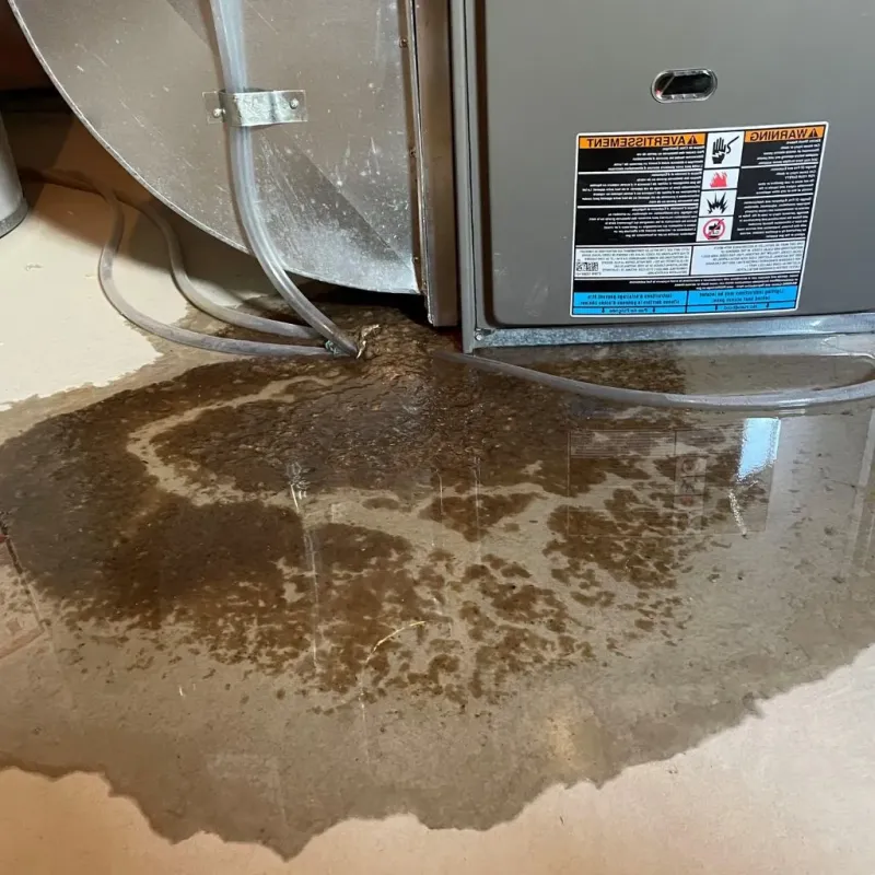 Pipe Burst and Leak Restoration in Anthony, KS