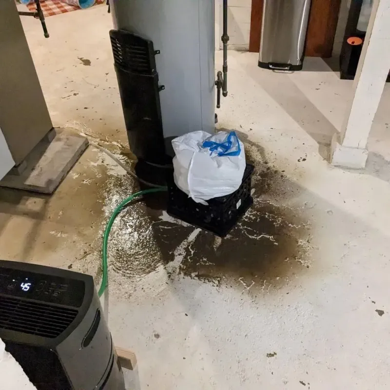 Sewage Backup Cleanup Service in Anthony, KS
